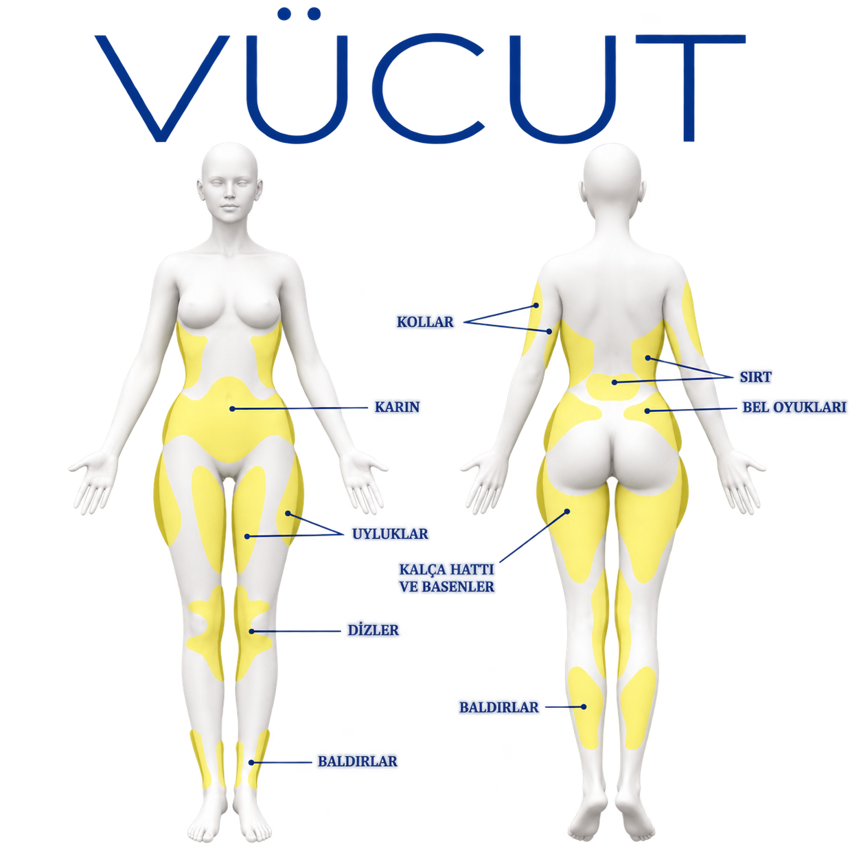 Forza Laser® tedavi bölgeleri - vücut